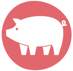 pig with a circle behind it